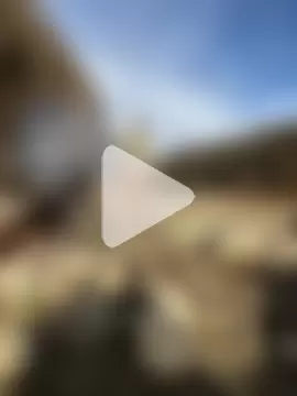 artXhibitor photo 22