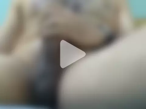 ashiLove2023 photo 13