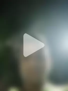 ashleellaunda7582 photo 24