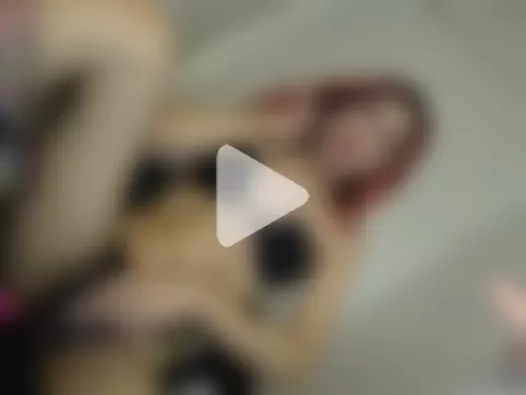 asiantikolina photo 15