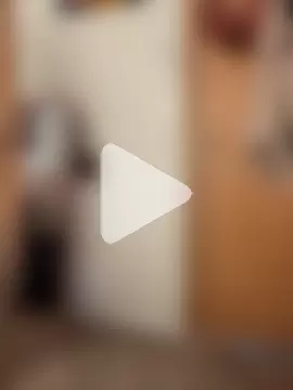 aurora_rayx photo 22