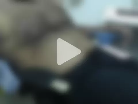 awesomeroc123 photo 30