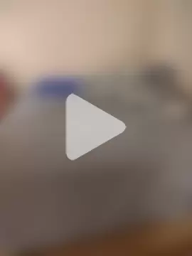 bailey4203 photo 11