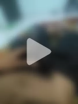 bananadick____ photo 9