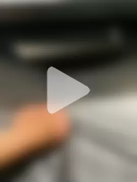 bavaricus123 photo 5