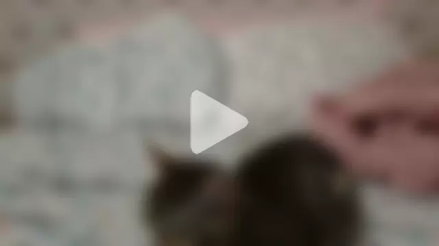 beautylovess photo 22