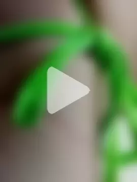 begood4daddy2day photo 4