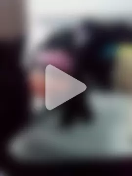 begood4daddy2day photo 3