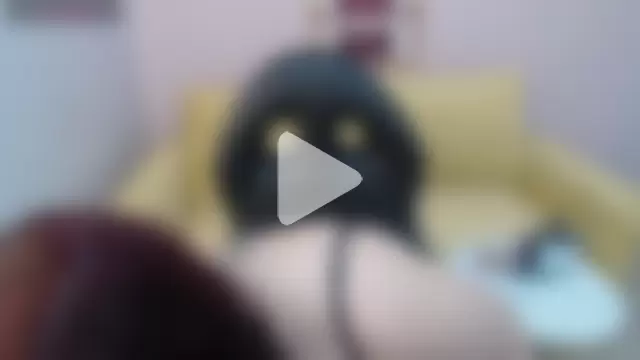 bellatrix_ch photo 26