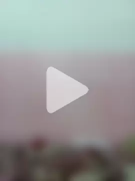 betterflyshow photo 3