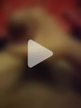 big_Cock653_ photo 1