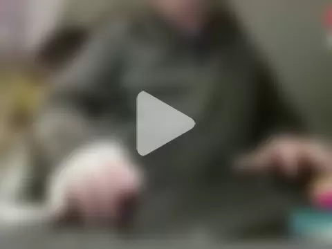 bigbadjon69 photo 10