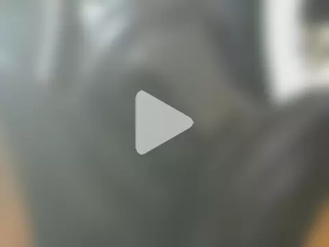 bigcockhard photo 12