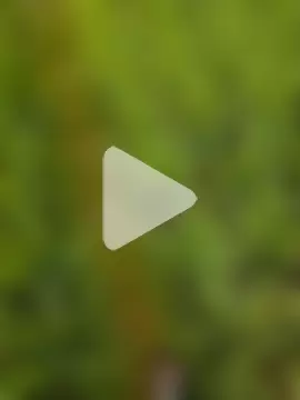 bigdaddyboy46 photo 29