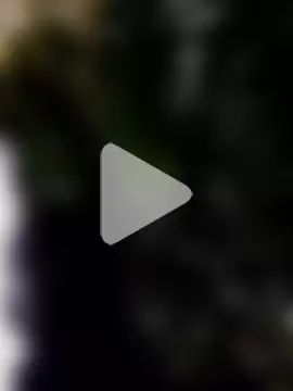 bigdaddyboy46 photo 3