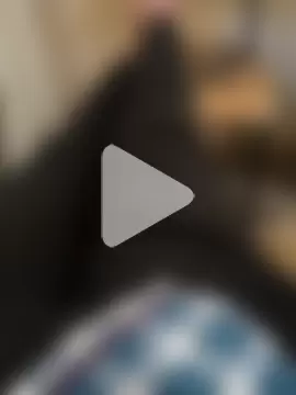 bigdick_lickingexpert08 photo 23