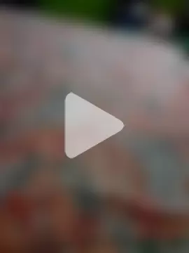 bindasbruno photo 14