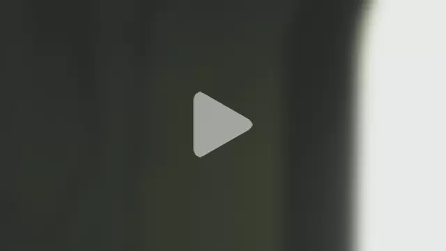 black_king_241 photo 17