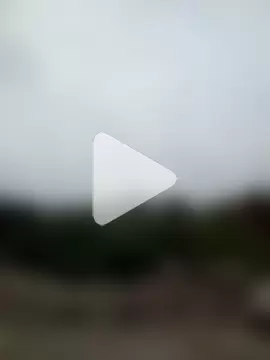 blackberry254 photo 29