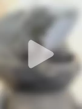 blackcobra94 photo 1