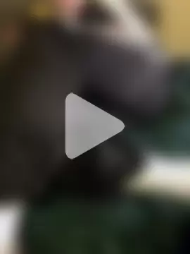 blue-moon23 photo 12