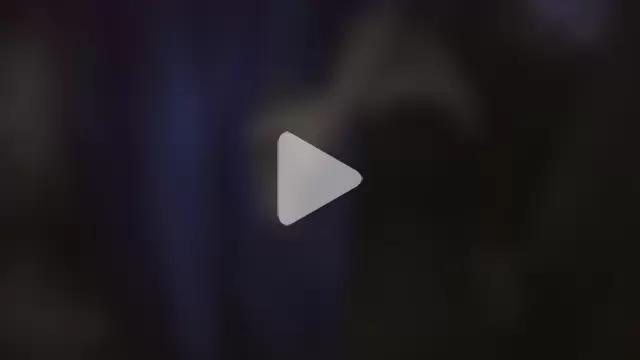 boefffiiee010 photo 1