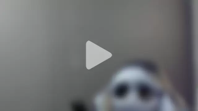 bradley_smith photo 4