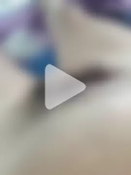 branco-pauzudo photo 6