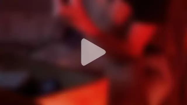 bravo23toro photo 10