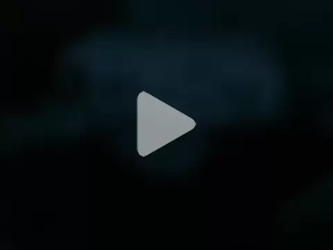 bravo23toro photo 20