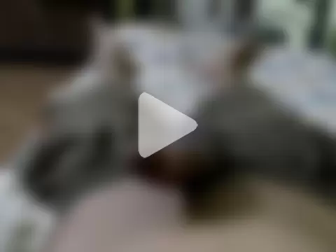 breezer3457 photo 11