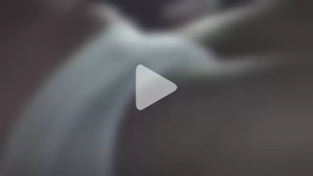 briefsguy4life@xh photo 11