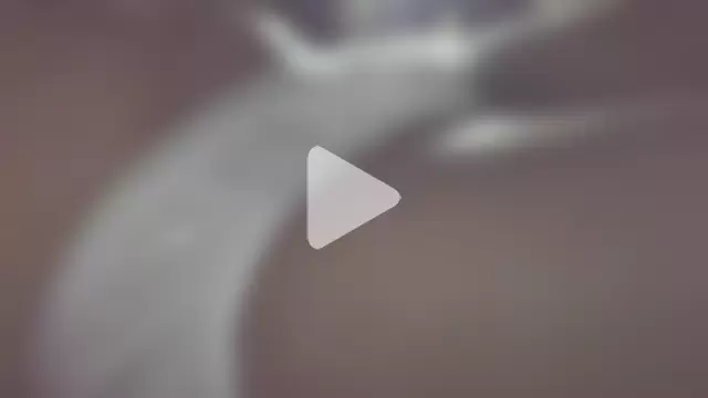 briefsguy4life@xh photo 6