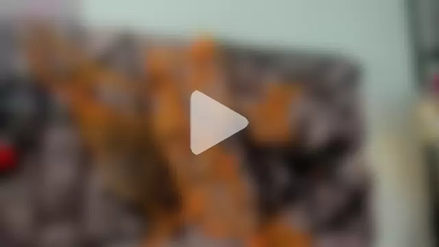 britanny-collyns photo 8