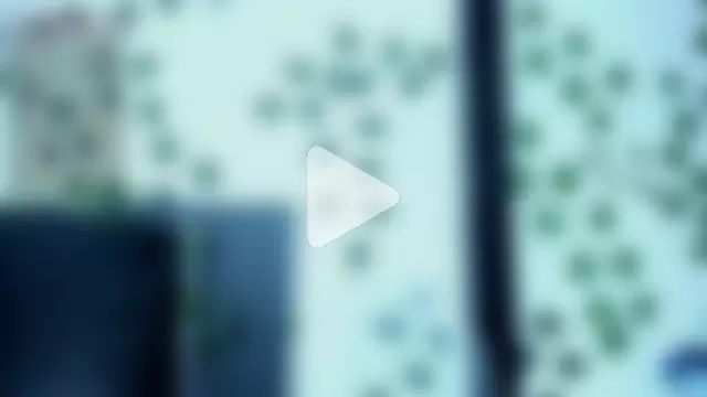 brittanyy20 photo 13