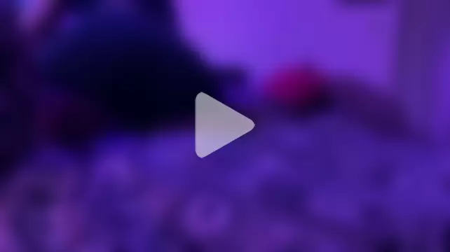 bukkakebae1 photo 1