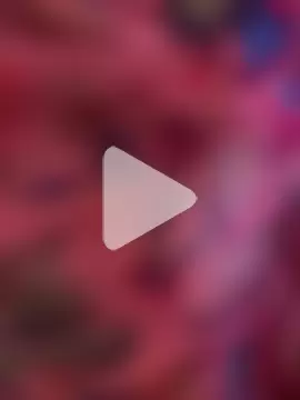 bull8_barby photo 14