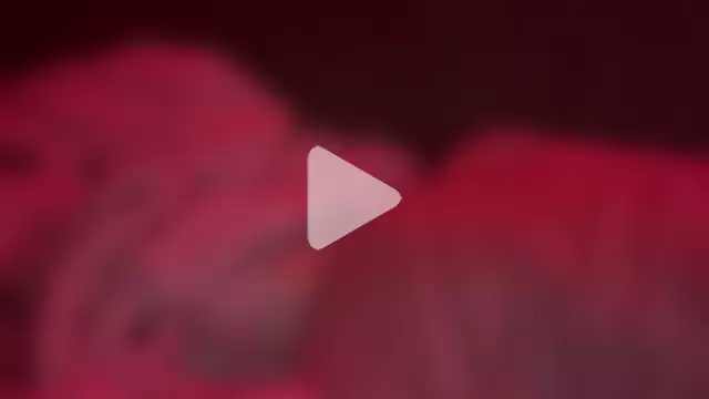 bunnytentacion photo 8