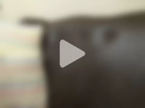 bustylaura4u photo 4