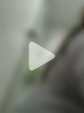 butterfly777_ photo 14