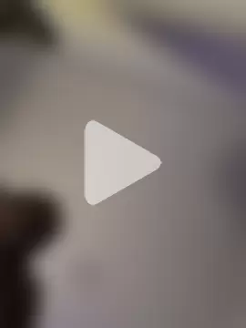 butterfly777_ photo 15