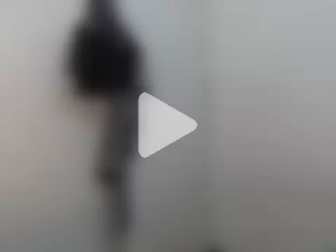 camelastarsairo photo 18