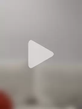 canariamorbosa photo 25