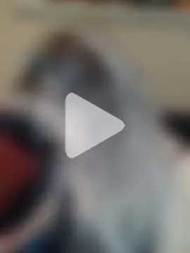 candy_queeen photo 12