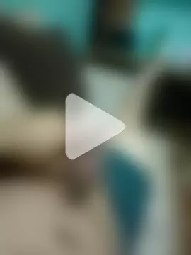 casallmaravilha photo 4