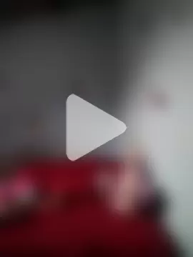 catalella16 photo 21