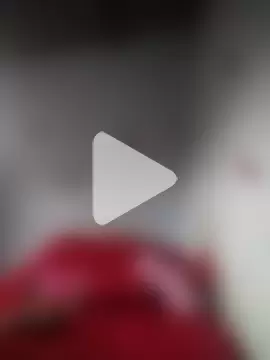 catalella16 photo 16