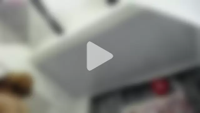 cataleya_pym photo 1