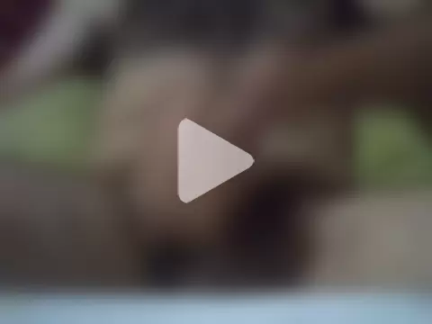 cavallopazzo0612 photo 28