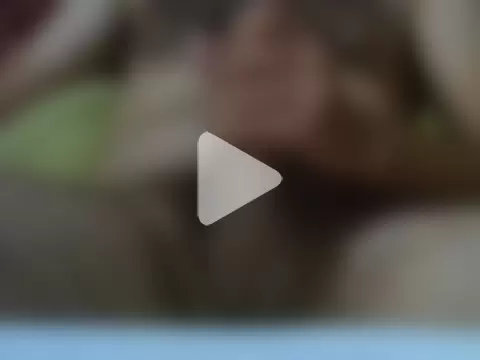 cavallopazzo0612 photo 17